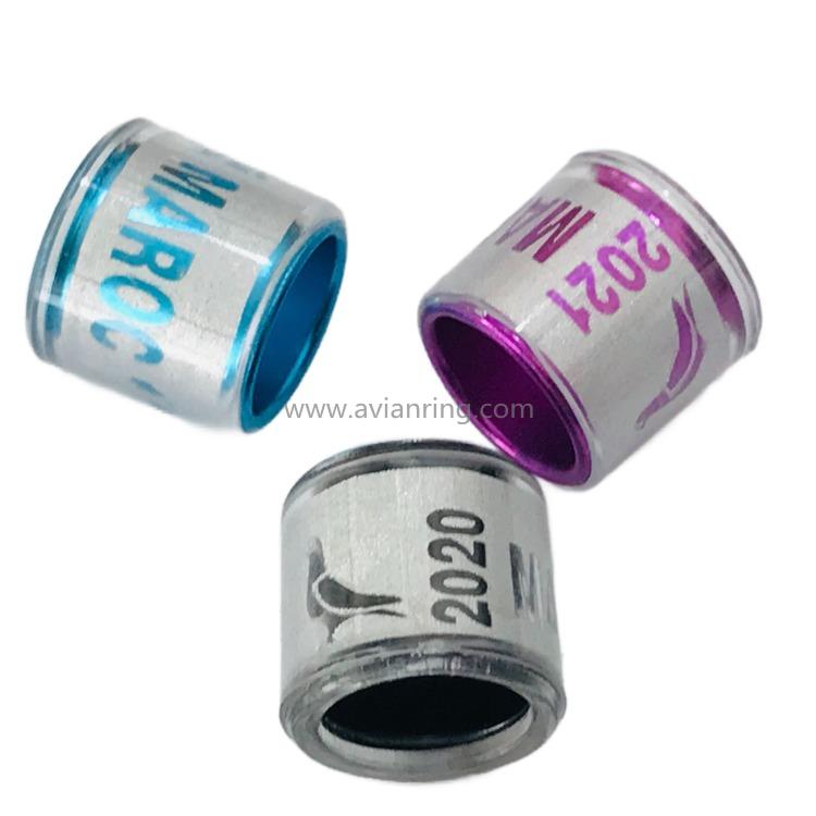 Color inner core pigeon ring