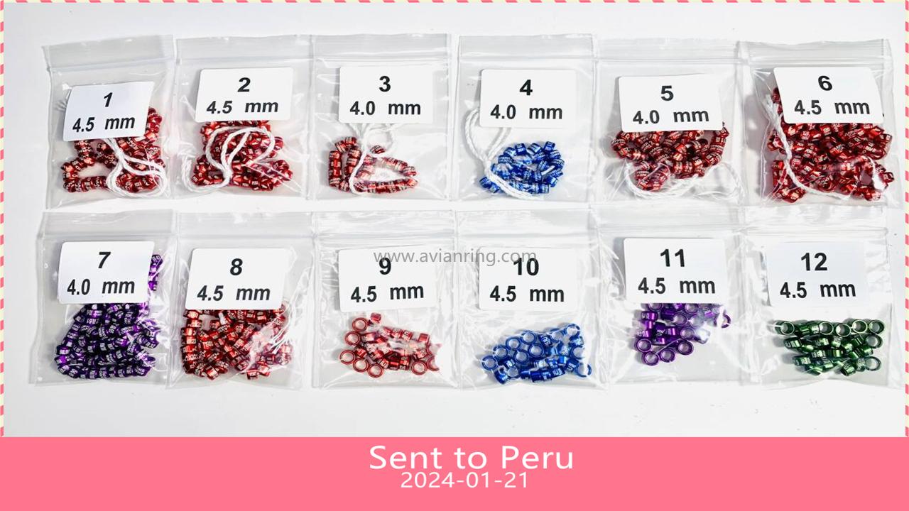 2024-1-21 Sent to Peru